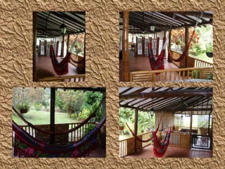 Y E N N Y  L O R E N A