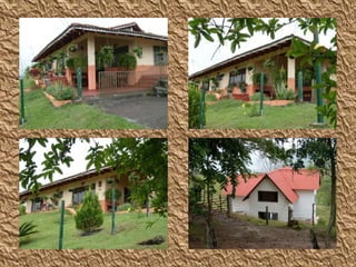 Y E N N Y  L O R E N A