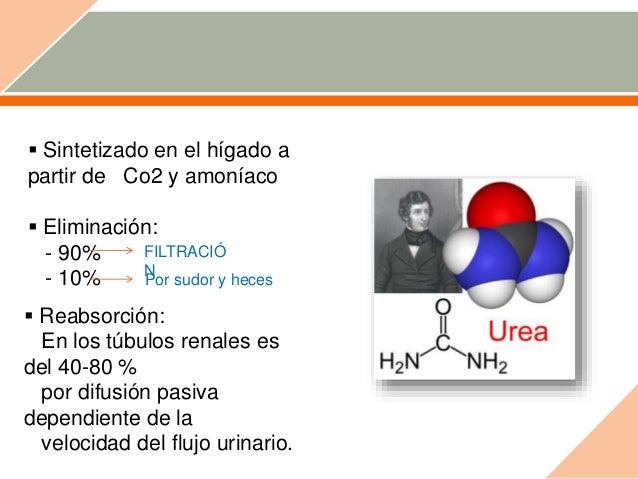 Donar sangre baja el acido urico - acido urico pastillas Donar sangre baja el acido urico - acido urico pastillas