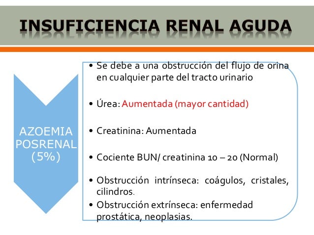 Urea, creatinina y acido úrico - Micky Gálvez Urea, creatinina y acido úrico - Micky Gálvez