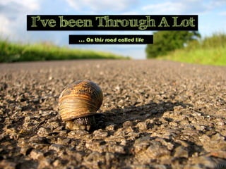 I’ve been Through A Lot
… On this road called life
h"ps://www.ﬂickr.com/photos/76818399@N00/768044111/	
  
 