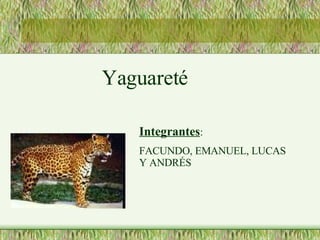 Yaguareté Integrantes : FACUNDO, EMANUEL, LUCAS  Y ANDRÉS 