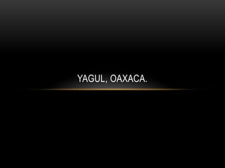 YAGUL, OAXACA.
 
