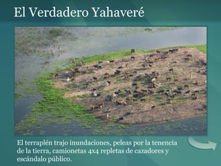 El Verdadero Yahaveré El terraplén trajo inundaciones, peleas por la tenencia de la tierra, camionetas 4x4 repletas de cazadores y escándalo público. 
