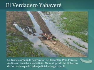 El Verdadero Yahaveré La Justicia ordenó la destrucción del terraplén. Pero Forestal Andina no escucha a la Justicia. Ahora depende del Gobierno de Corrientes que la orden judicial se haga cumplir. 