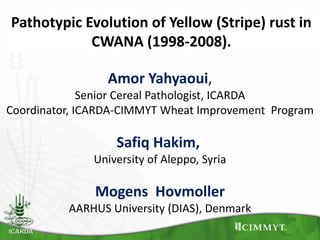Pathotypic Evolution of Yellow (Stripe) rust in
            CWANA (1998-2008).

                 Amor Yahyaoui,
              Senior Cereal Pathologist, ICARDA
Coordinator, ICARDA-CIMMYT Wheat Improvement Program

                  Safiq Hakim,
              University of Aleppo, Syria

               Mogens Hovmoller
          AARHUS University (DIAS), Denmark
 