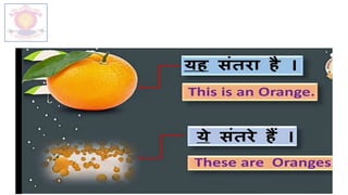 M.V.HERWADKAR ENGLISH MEDIUM SCHOOL 16
 