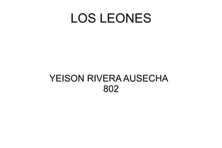 LOS LEONES YEISON RIVERA AUSECHA  802 