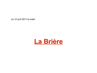 La Brière Le 12 avril 2011 le matin