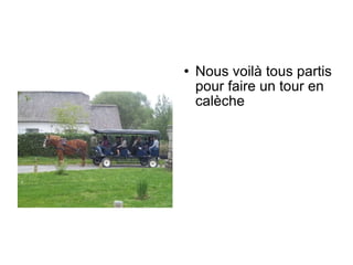 Nous voilà tous partis pour faire un tour en calèche