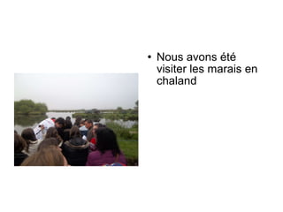 Nous avons été visiter les marais en chaland