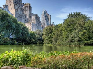 Centralpark - Newyork