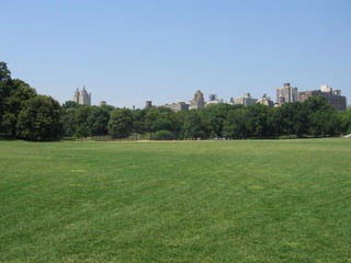 Centralpark - Newyork