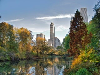 Centralpark - Newyork