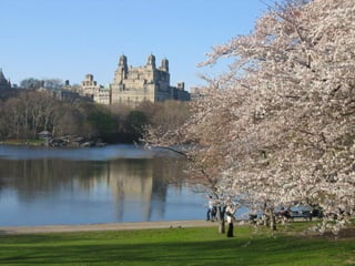 Centralpark - Newyork