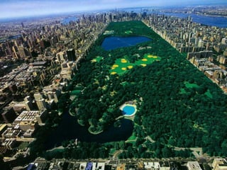 Centralpark - Newyork