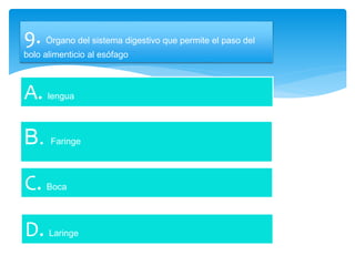 9. Órgano del sistema digestivo que permite el paso del
bolo alimenticio al esófago
A. lengua
B. Faringe
C. Boca
D. Laringe
 