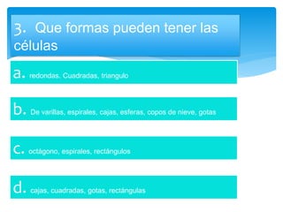 3. Que formas pueden tener las
células
a. redondas. Cuadradas, triangulo
b. De varillas, espirales, cajas, esferas, copos de nieve, gotas
c. octágono, espirales, rectángulos
d. cajas, cuadradas, gotas, rectángulas
 