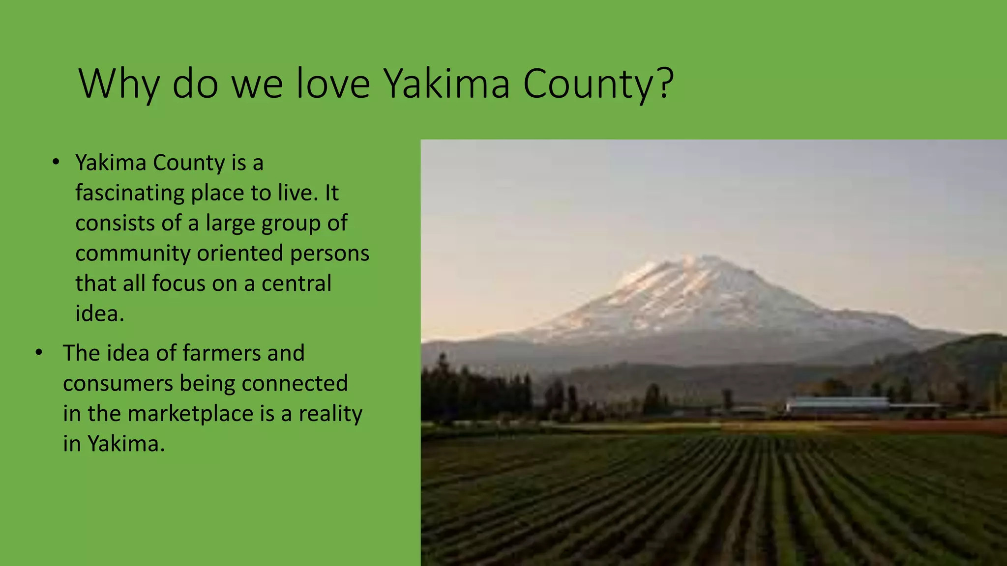Yakima the palm springs PPTX