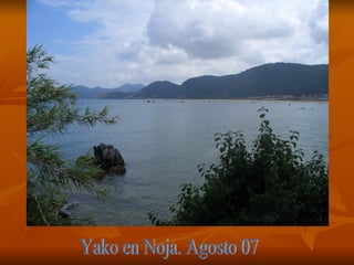 Yako Noja 07