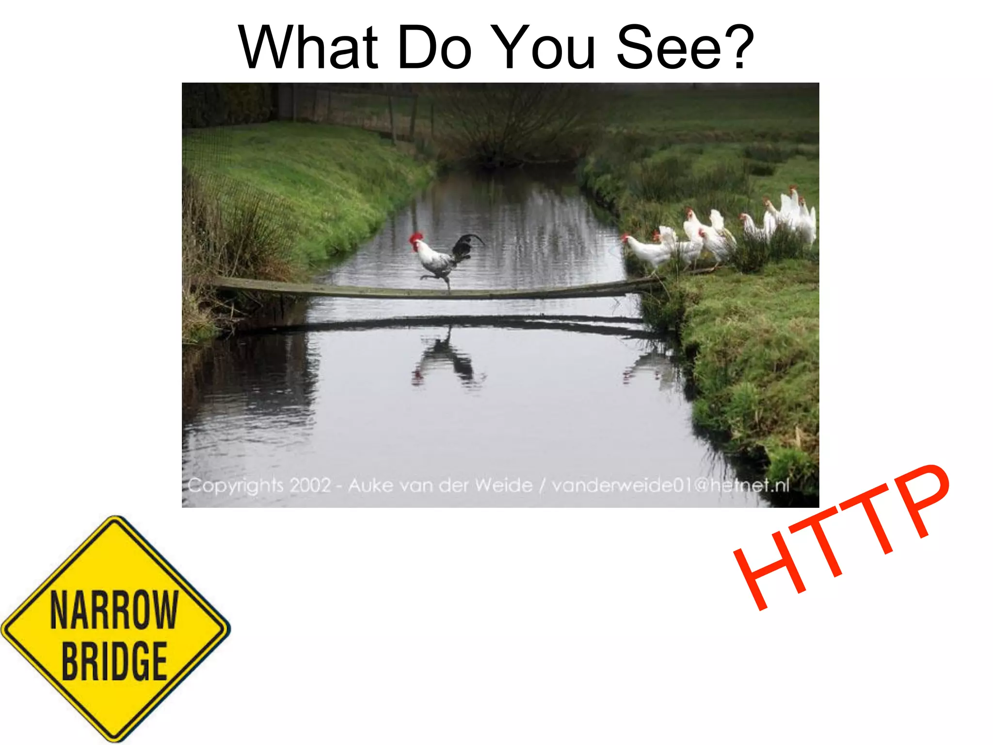 What Do You See? 
