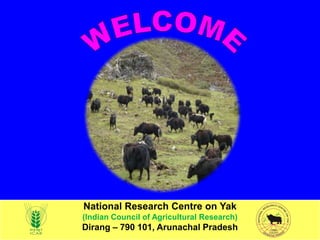National Research Centre on Yak
(Indian Council of Agricultural Research)
Dirang – 790 101, Arunachal Pradesh
 