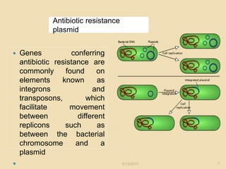 Antibiotic resistance
plasmid
6/15/2017 7
 Genes conferring
antibiotic resistance are
commonly found on
elements known as
integrons and
transposons, which
facilitate movement
between different
replicons such as
between the bacterial
chromosome and a
plasmid

 