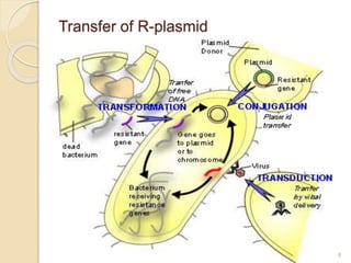 Transfer of R-plasmid
6/15/2017 8
 