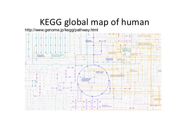 ケモインフォマティクス