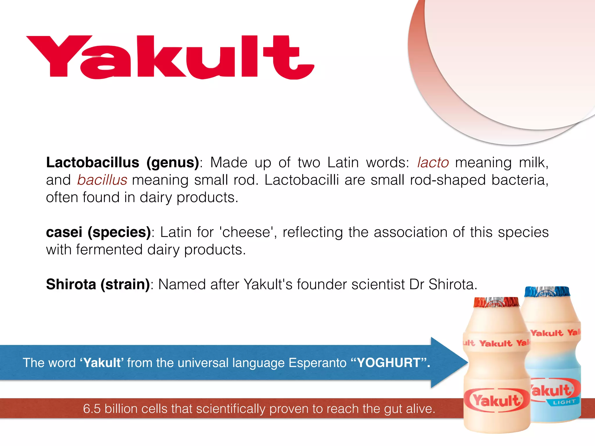 The word ‘Yakult’ from the universal language Esperanto “YOGHURT”.
Lactobacillus (genus): Made up of two Latin words: lacto meaning milk,
and bacillus meaning small rod. Lactobacilli are small rod-shaped bacteria,
often found in dairy products.
casei (species): Latin for 'cheese', reﬂecting the association of this species
with fermented dairy products.
Shirota (strain): Named after Yakult's founder scientist Dr Shirota.
6.5 billion cells that scientiﬁcally proven to reach the gut alive.
 