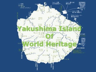 YakushimaIsland Of World Heritage 