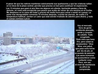 A pesar de que los nativos mantienen estoicamente sus quehaceres y que las criaturas saltan en la nieve de la plaza central, percibo que preciso un taxi para continuar mi exploración. Los 13 minutos que pasé al aire libre me dejaron sin aliento, hechando pestes y llena de dolores, mi rosto está enrojecido que parece que acabo de volver de una semana en el Caribe.   Me desplomo en la cama del hotel y preciso de media hora para volver a sentir mi cuerpo. La parte mas desagradable comienza 15 minutos después, cuando las piernas, de vuelta a la temperatura habitual, sienten   un calor que está siendo irradiado de adentro para afuera, y todo el cuerpo comieza a picar. Voy al mercado,  lleno de gente vendiendo pescado,  cerdo y corazón  de caballo. Todo congelado. “ Está claro que hace frio, pero usted se acostumbra.” Dice  Nina, una yakut, que pasa ocho horas por dia de pié, en su puesto de pescado. Los seres humanos se acostumbran como cualquier cosa. Pero, aún así,  el nível de resistencia es difícil de  comprender. 