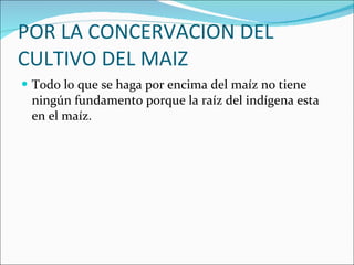 POR LA CONCERVACION DEL CULTIVO DEL MAIZ  Todo lo que se haga por encima del maíz no tiene ningún fundamento porque la raíz del indígena esta en el maíz. 