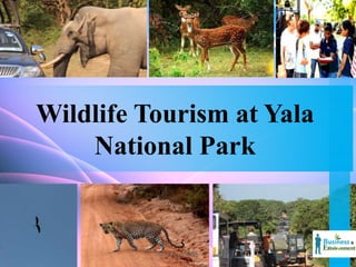 Wildlife Tourism at Yala
National Park
1Group Project 2017
 