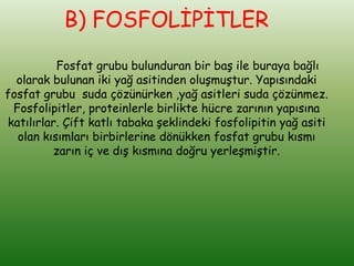 B) FOSFOLİPİTLER
          Fosfat grubu bulunduran bir baş ile buraya bağlı
  olarak bulunan iki yağ asitinden oluşmuştur. Yapısındaki
fosfat grubu suda çözünürken ,yağ asitleri suda çözünmez.
 Fosfolipitler, proteinlerle birlikte hücre zarının yapısına
katılırlar. Çift katlı tabaka şeklindeki fosfolipitin yağ asiti
  olan kısımları birbirlerine dönükken fosfat grubu kısmı
         zarın iç ve dış kısmına doğru yerleşmiştir.
 