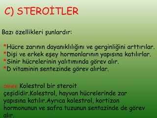 C) STEROİTLER

Bazı özellikleri şunlardır:

*Hücre zarının dayanıklılığını ve gerginliğini arttırılar.
*Dişi ve erkek eşey hormonlarının yapısına katılırlar.
*Sinir hücrelerinin yalıtımında görev alır.
*D vitaminin sentezinde görev alırlar.

ÖRNEK: Kolestrol bir steroit
çeşididir.Kolestrol, hayvan hücrelerinde zar
yapısına katılır.Ayrıca kolestrol, kortizon
hormonunun ve safra tuzunun sentazinde de görev
alır.
 