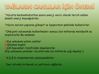 *Vücutta karbonhidrattan sonra enerji verici olarak tercih edilen
önemli enerji kaynağıdırlar.

*Hücre zarının yapısına glikopit ve lipoprotein şeklinde kullanılırlar.

*Oksijenli solunumda kullanılmaları sonucu bol miktarda metabolik su
oluştururlar.Bu nedenle:

a)Kış uykusuna yatan canlılar
b)Göçmen kuşlar
c)Çöl hayvanları tarafından depolanırlar.
(Kış uykusuna yatanlar vücutlarında bol miktarda yağ depolar.)

*A,D,E,K vitaminlerinin çözücüsüdürler.

*Deri altında birikerek ısı yalıtımını sağlarlar.
 