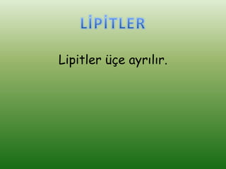 Lipitler üçe ayrılır.
 