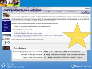 Written literacyYou have the tools.