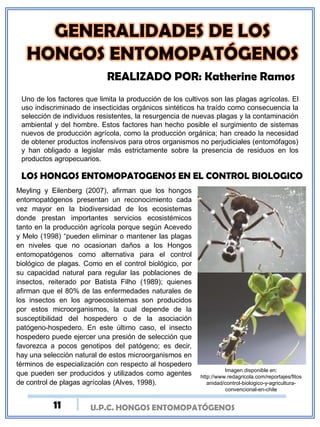 U.P.C. HONGOS ENTOMOPATÓGENOS
Uno de los factores que limita la producción de los cultivos son las plagas agrícolas. El
uso indiscriminado de insecticidas orgánicos sintéticos ha traído como consecuencia la
selección de individuos resistentes, la resurgencia de nuevas plagas y la contaminación
ambiental y del hombre. Estos factores han hecho posible el surgimiento de sistemas
nuevos de producción agrícola, como la producción orgánica; han creado la necesidad
de obtener productos inofensivos para otros organismos no perjudiciales (entomófagos)
y han obligado a legislar más estrictamente sobre la presencia de residuos en los
productos agropecuarios.
REALIZADO POR: Katherine Ramos
LOS HONGOS ENTOMOPATOGENOS EN EL CONTROL BIOLOGICO
Meyling y Eilenberg (2007), afirman que los hongos
entomopatógenos presentan un reconocimiento cada
vez mayor en la biodiversidad de los ecosistemas
donde prestan importantes servicios ecosistémicos
tanto en la producción agrícola porque según Acevedo
y Melo (1998) “pueden eliminar o mantener las plagas
en niveles que no ocasionan daños a los Hongos
entomopatógenos como alternativa para el control
biológico de plagas. Como en el control biológico, por
su capacidad natural para regular las poblaciones de
insectos, reiterado por Batista Filho (1989); quienes
afirman que el 80% de las enfermedades naturales de
los insectos en los agroecosistemas son producidos
por estos microorganismos, la cual depende de la
susceptibilidad del hospedero o de la asociación
patógeno-hospedero. En este último caso, el insecto
hospedero puede ejercer una presión de selección que
favorezca a pocos genotipos del patógeno; es decir,
hay una selección natural de estos microorganismos en
términos de especialización con respecto al hospedero
que pueden ser producidos y utilizados como agentes
de control de plagas agrícolas (Alves, 1998).
Imagen disponible en:
http://www.redagricola.com/reportajes/fitos
anidad/control-biologico-y-agricultura-
convencional-en-chile
11
 