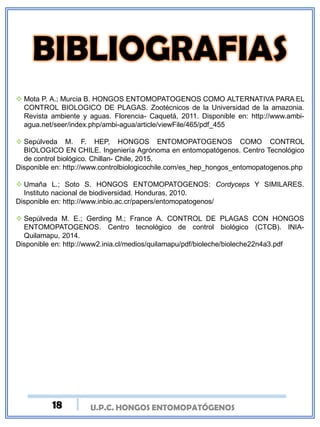 U.P.C. HONGOS ENTOMOPATÓGENOS
 Mota P. A.; Murcia B. HONGOS ENTOMOPATOGENOS COMO ALTERNATIVA PARA EL
CONTROL BIOLOGICO DE PLAGAS. Zootécnicos de la Universidad de la amazonia.
Revista ambiente y aguas. Florencia- Caquetá, 2011. Disponible en: http://www.ambi-
agua.net/seer/index.php/ambi-agua/article/viewFile/465/pdf_455
 Sepúlveda M. F. HEP, HONGOS ENTOMOPATOGENOS COMO CONTROL
BIOLOGICO EN CHILE. Ingeniería Agrónoma en entomopatógenos. Centro Tecnológico
de control biológico. Chillan- Chile, 2015.
Disponible en: http://www.controlbiologicochile.com/es_hep_hongos_entomopatogenos.php
 Umaña L.; Soto S. HONGOS ENTOMOPATOGENOS: Cordyceps Y SIMILARES.
Instituto nacional de biodiversidad. Honduras, 2010.
Disponible en: http://www.inbio.ac.cr/papers/entomopatogenos/
 Sepúlveda M. E.; Gerding M.; France A. CONTROL DE PLAGAS CON HONGOS
ENTOMOPATOGENOS. Centro tecnológico de control biológico (CTCB). INIA-
Quilamapu, 2014.
Disponible en: http://www2.inia.cl/medios/quilamapu/pdf/bioleche/bioleche22n4a3.pdf
18
 
