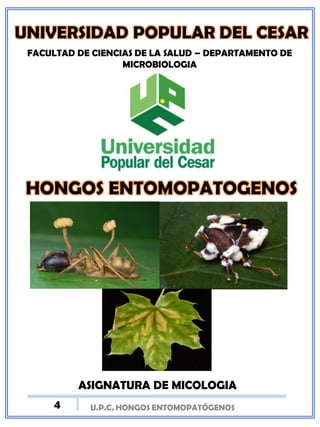 U.P.C. HONGOS ENTOMOPATÓGENOS
FACULTAD DE CIENCIAS DE LA SALUD – DEPARTAMENTO DE
MICROBIOLOGIA
ASIGNATURA DE MICOLOGIA
4
 
