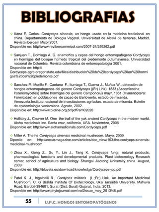 U.P.C. HONGOS ENTOMOPATÓGENOS
 Illana E. Carlos. Cordyceps sinensis, un hongo usado en la medicina tradicional en
china. Departamento de Biologia Vegetal. Universidad de Alcalá de henares, Madrid.
Revista iberoam Micol 2007.
Disponible en: http//www.reviberoammicol.com/2007-24/259262.pdf
 Sanjuan T., Domingo A. G. anamorfos y cepas del hongo entomopatogeno Cordyceps
en hormigas del bosque húmedo tropical del piedemonte putumayense. Universidad
nacional de Colombia. Revista colombiana de entomopatologia 2001.
Disponible en: http://
Cordyceps.cgrb.oregonstate.edu/files/distribución%20de%20cordyceps%20en%20hormi
gas%20del%20piedemonte.pdf
 Sanchez P., Morillo F., Caetano F., Iturriaga T., Guerra J., Muñoz W., detección de
hongos entomopatogenos del genero Cordyceps ((Fr) Link), 1833 (Ascomicotina;
Pyrenomycetes) sobre hormigas del genero Camponotus mayr, 1861 (Hymenoptera:
Formicidae) en poblaciones de cacao de Barlovento, estado de miranda,
Venezuela.Instituto nacional de investiaciones agrícolas, estado de miranda. Boletin
de epidemiologia venezolana. Agosto, 2002.
Disponible en: http://www.bioline.org.br/pdf?em02020
 Holliday J., Cleaver M. One the trall of the yak ancient Cordyceps in the modern world.
Aloha medicinals inc. Santa cruz, california, USA. Noviembre, 2006
Disponible en: http://www.alohamedicinals.com/Cordyceps.pdf
 Miller A. The he Cordyceps sinensis medicinal mushroom. Mayo, 2009
Diponile en: http://nexusmagazine.com/articles/doc_view/103-the-cordyeps-sinensis-
medicinal-mushroom
 Zhou X., Gong Z., Su Y., Lin J., Tang K. Cordyceps fungi: natural products,
pharmacological functions and developmental products. Plant biotecnology Reseach
center, school of agriculture and biology. Shangai Jiaotong University china. August,
2009
Disponible en: http://bluvela.eu/download/knowledge/Cordyceps-jpp.pdf
 Patel K. J., Ingalhalli R., Cordyces militaris (L.;Fr.) Link. An Important Medicinal
Mushroom. C. G Brakta Institute Of Biotecnology, Uka Tarsadia University, Mahuva
Road, Bardoli-394601, Surat (Dist. Surat) Gujarat, India, 2013.
Disponible en: http://www.phytojournal.com/vol2issue_may_2013/46.pdf
55
 