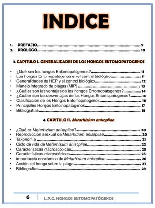 U.P.C. HONGOS ENTOMOPATÓGENOS
1. PREFACIO…………………………………………………………………………………… 9
2. PROLOGO…………………………………………………………………………………… 10
3.
• ¿Qué son los hongos Entomopatogenos?............................................. 11
• Los hongos Entomopatogenos en el control biológico………………………. 11
• Generalidades de HEP y el control biológico……………………………………. 12
• Manejo Integrado de plagas (MIP) …………………………………………………. 13
• ¿Cuáles son las ventajas de los hongos Entomopatogenos?................ 14
• ¿Cuáles son las desventajas de los Hongos Entomopatogenos?.......... 15
• Clasificación de los Hongos Entomopatogenos………………………………… 16
• Principales Hongos Entomopatogenos……………………………………………. 17
• Bibliografías………………………………………………………………………………….. 18
4.
• ¿Qué es Metarhizium anisopliae?.......................................................... 20
• Reproducción asexual de Metarhizium anisopliae……………………….….... 20
• Taxonomía ……………………………………………………………………………………. 21
• Ciclo de vida de Metarhizium anisopliae………….………………………………. 22
• Características macroscópicas……………………………………………………….. 23
• Características microscópicas………………………………………………………… 25
• importancia económica de Metarhizium anisopliae ………………….…....... 26
• Acción del hongo sobre la plaga………………………………………………….….. 27
• Bibliografías………………………………………………………………………………..… 28
6
 