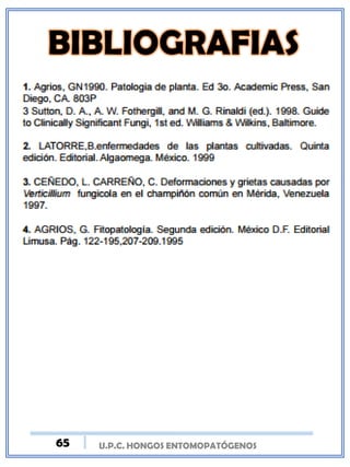 U.P.C. HONGOS ENTOMOPATÓGENOS65
 