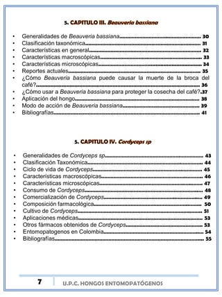 U.P.C. HONGOS ENTOMOPATÓGENOS
5.
• Generalidades de Beauveria bassiana…………………………..………………… 30
• Clasificación taxonómica………………………………………………………………… 31
• Características en general………………………………………………………………. 32
• Características macroscópicas………………………….…………………………….. 33
• Características microscópicas……………………………................................. 34
• Reportes actuales………………………………………………………………………….. 35
• ¿Cómo Beauveria bassiana puede causar la muerte de la broca del
café?....................................................................................................... 36
• ¿Cómo usar a Beauveria bassiana para proteger la cosecha del café?.37
• Aplicación del hongo……………………………………………………………………… 38
• Modo de acción de Beauveria bassiana………………………………………….. 39
• Bibliografías………………………………………………………………………………….. 41
5.
• Generalidades de Cordyceps sp………………………………………….…………… 43
• Clasificación Taxonómica…………………………………………………….………….. 44
• Ciclo de vida de Cordyceps………………………………………………….…………. 45
• Características macroscópicas……………………………………………….……….. 46
• Características microscópicas……………………………………………….…..……. 47
• Consumo de Cordyceps………………………………………………………………..… 48
• Comercialización de Cordyceps………………………………………..…………..… 49
• Composición farmacológica……………………………………………………..…….. 50
• Cultivo de Cordyceps……………………………………………………………….…….. 51
• Aplicaciones médicas……………………………………………………………………… 53
• Otros fármacos obtenidos de Cordyceps………………………………………….. 53
• Entomopatogenos en Colombia……………………………………………………..… 54
• Bibliografías………………………………………………………………………………….... 55
7
 