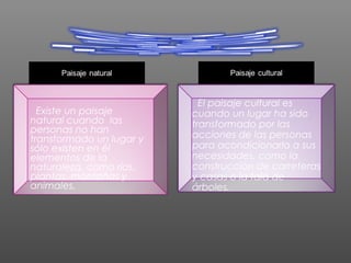 Existe un paisaje 
natural cuando las 
personas no han 
transformado un lugar y 
sólo existen en él 
elementos de la 
naturaleza, como ríos, 
plantas, montañas y 
animales. 
El paisaje cultural es 
cuando un lugar ha sido 
transformado por las 
acciones de las personas 
para acondicionarlo a sus 
necesidades, como la 
construcción de carreteras 
y casas o la tala de 
árboles. 
 