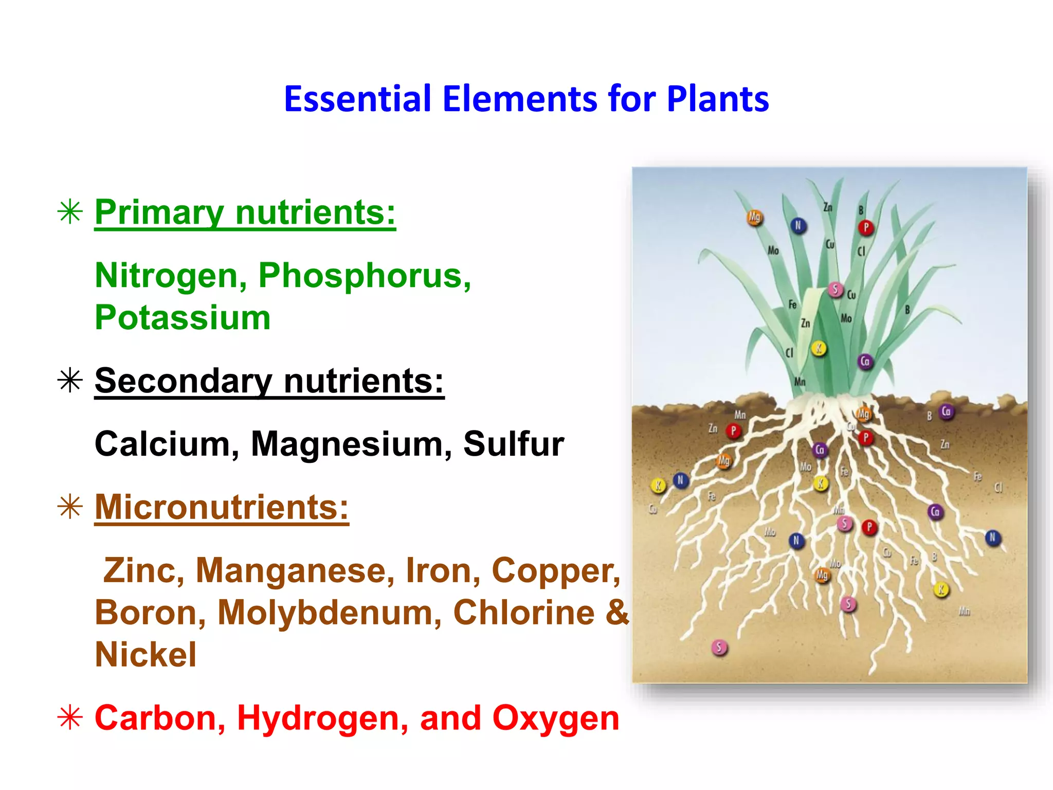 Essential Elements for Plants
 Primary nutrients:
Nitrogen, Phosphorus,
Potassium
 Secondary nutrients:
Calcium, Magnesium, Sulfur
 Micronutrients:
Zinc, Manganese, Iron, Copper,
Boron, Molybdenum, Chlorine &
Nickel
 Carbon, Hydrogen, and Oxygen
 