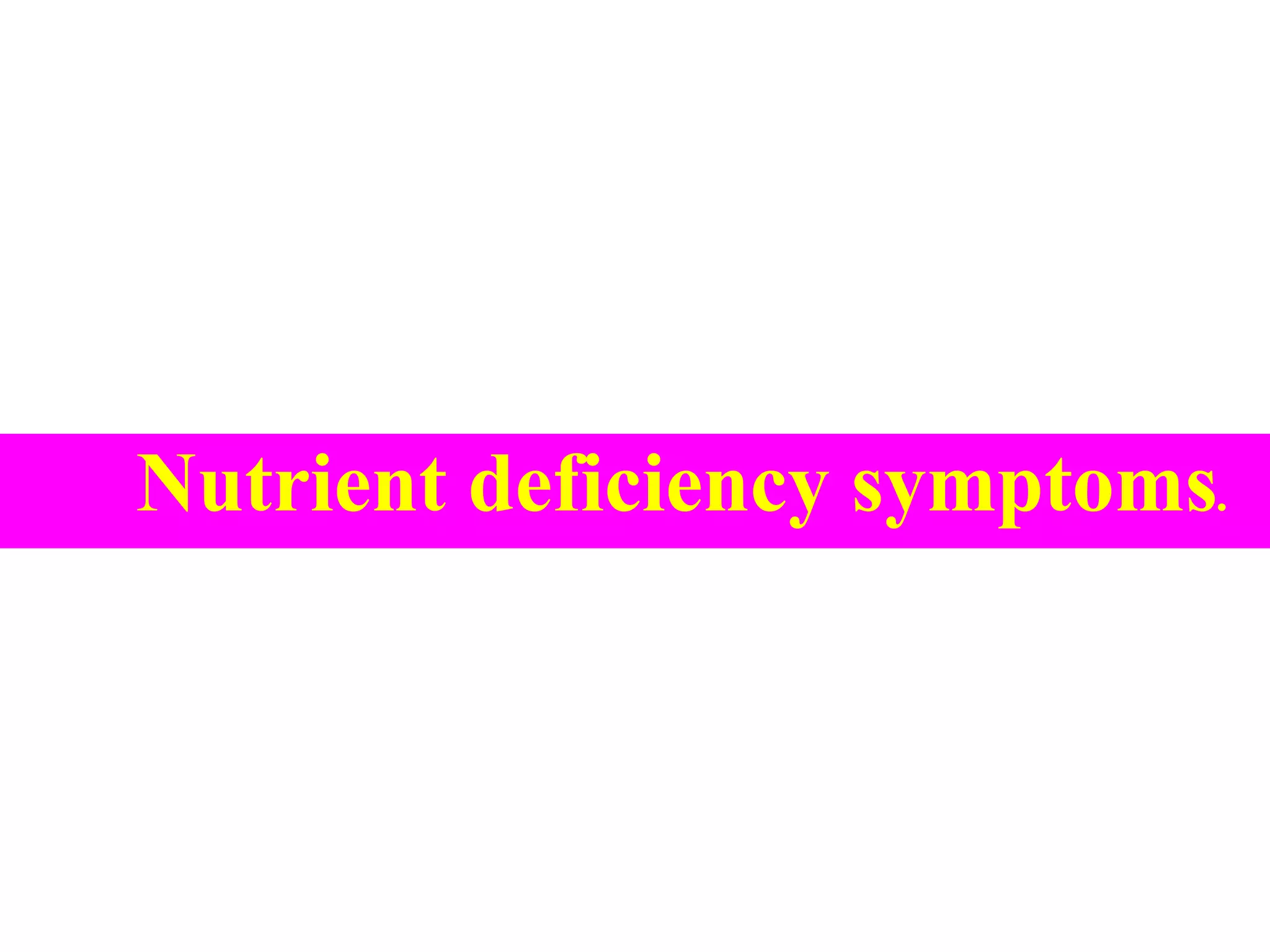 Nutrient deficiency symptoms.
 