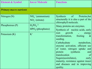 Element & Symbol Ion or Molecule Functions
Primary macro nutrients
Nitrogen (N) NH4
+ (ammonium)
NO3
- (nitrate)
Synthesis of Proteins,but
structurally it is also a part of the
chlorophyll molecule.
Many proteins are enzymes.
Synthesis of nucleic acids, early
root growth , energy
transformation, fruiting &
seeding.
Carbohydrate metabolism,
enzyme activation, efficient use
of water, nitrogen uptake and
protein synthesis and
translocation of
Sugars(assimilates), early
maturity, resistance against insect
and diseases and in improving
quality.
Phosphorous (P) H2PO4
2-
HPO4 (phosphates)
Potassium (K) K+
 